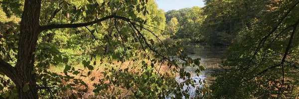 d_bayik Profile Banner