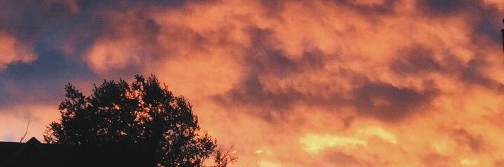 brownricebri's profile banner image