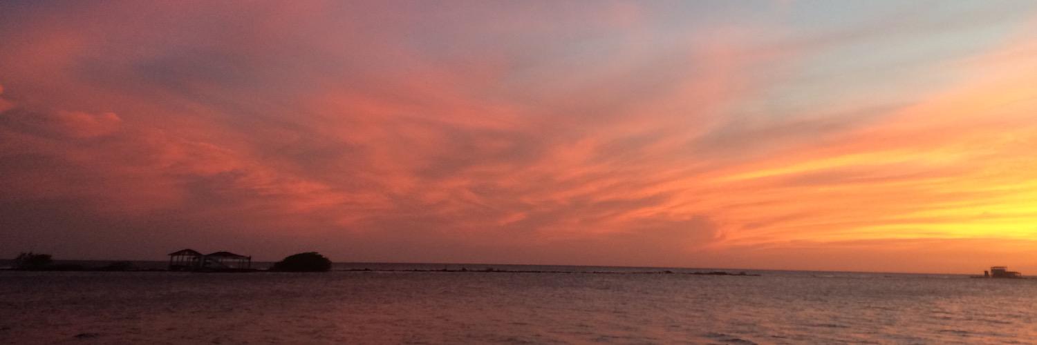 yolicorazon24's profile banner image