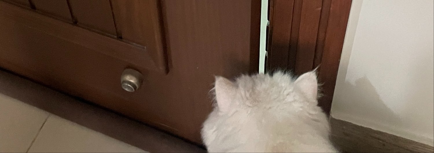 authenticshyna's profile banner image