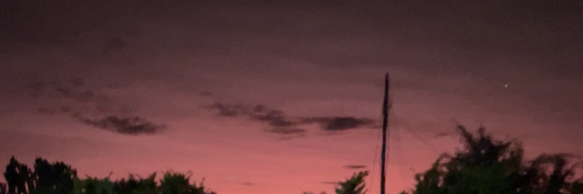 Nell_i_e's profile banner image