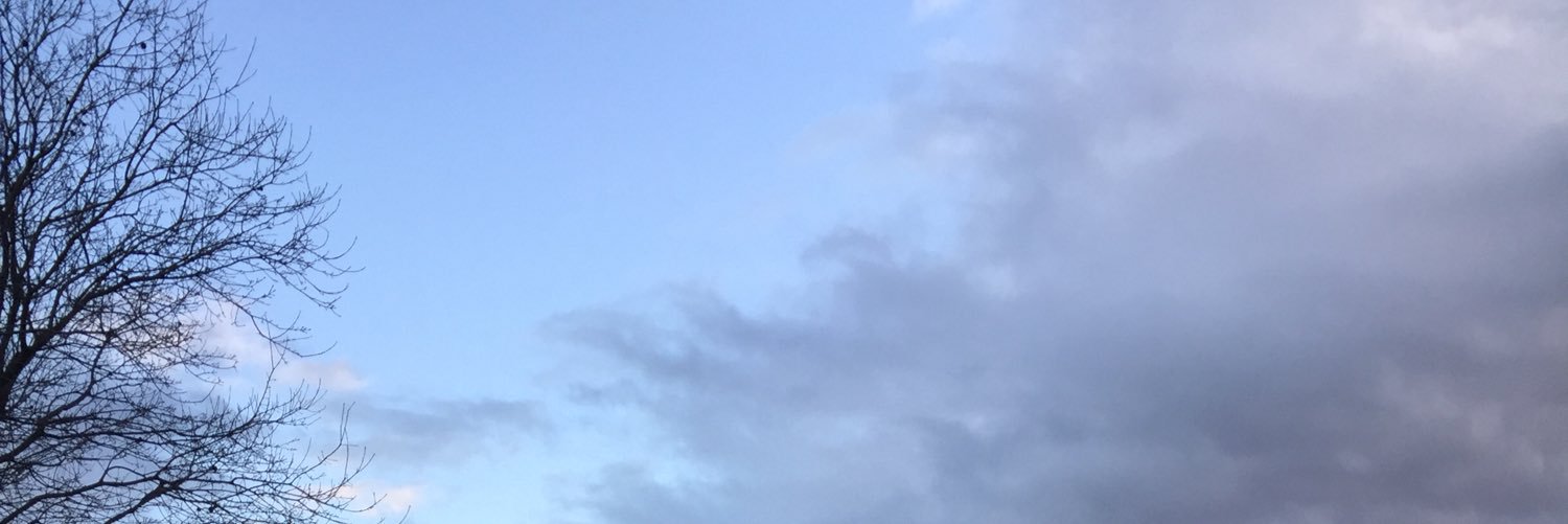 oquesadilla's profile banner image
