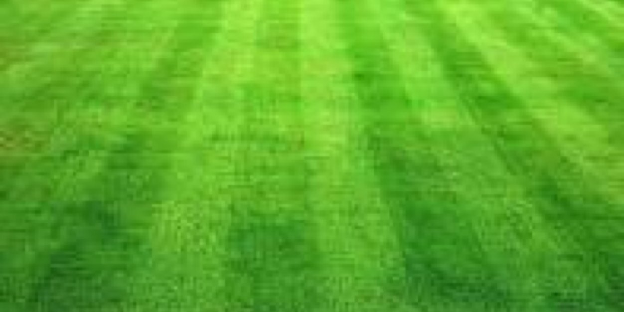 nWoSlopitch's profile banner image