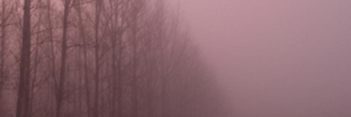 SotoJudith_'s profile banner image