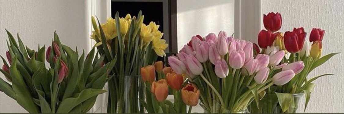 letsdraysmile's profile banner image
