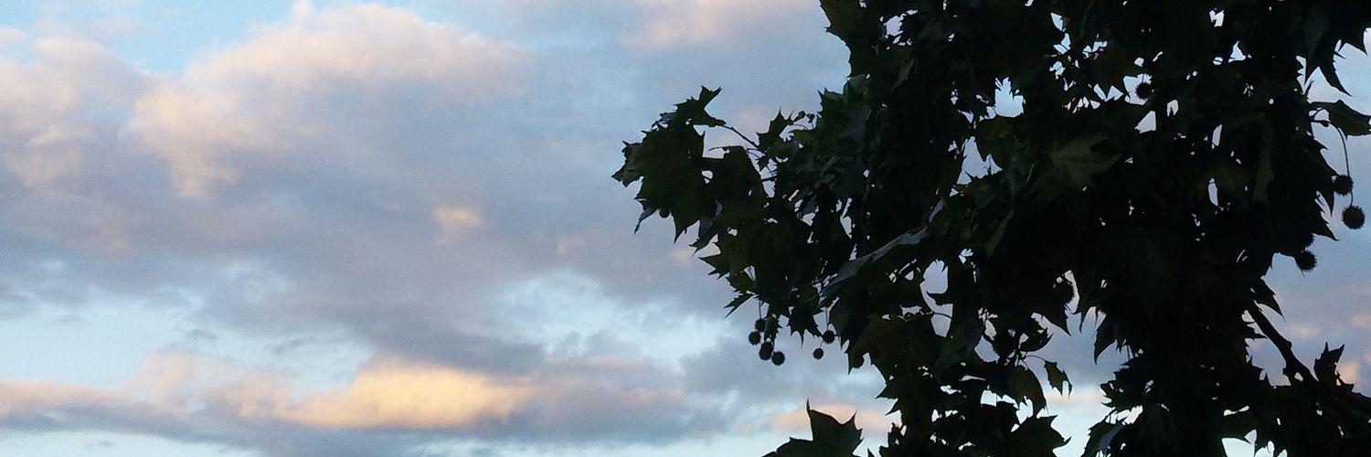 BrunaLarosa's profile banner image