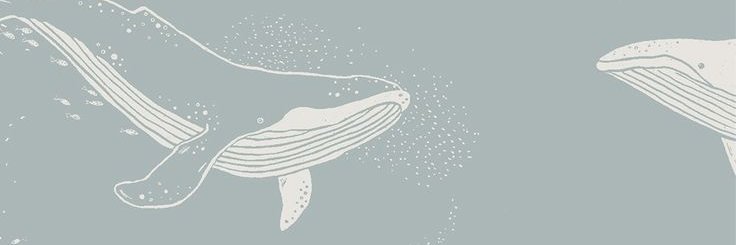 AriMAguirre's profile banner image