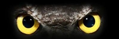 dydx88's profile banner image