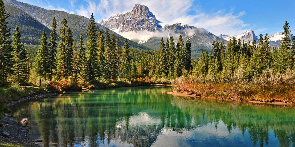 Emergency Wolf banner