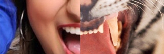 PerfectAlyssaM's profile banner image
