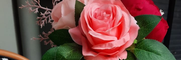 noorintanaini's profile banner image