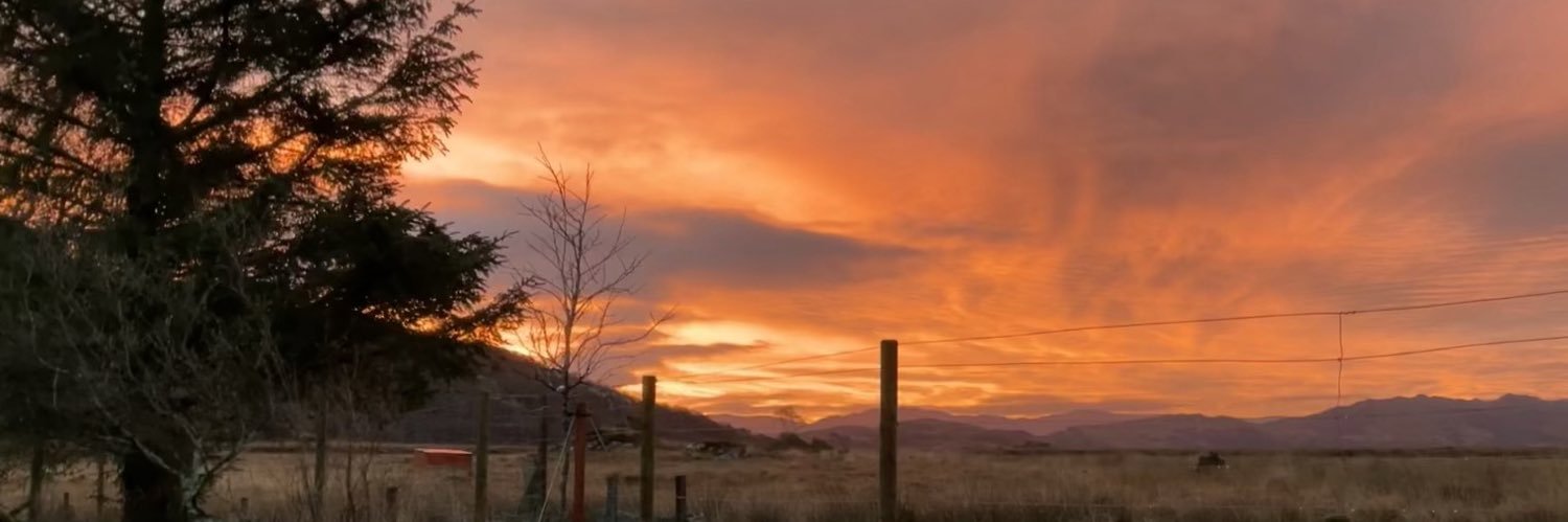 Caroline Castle banner