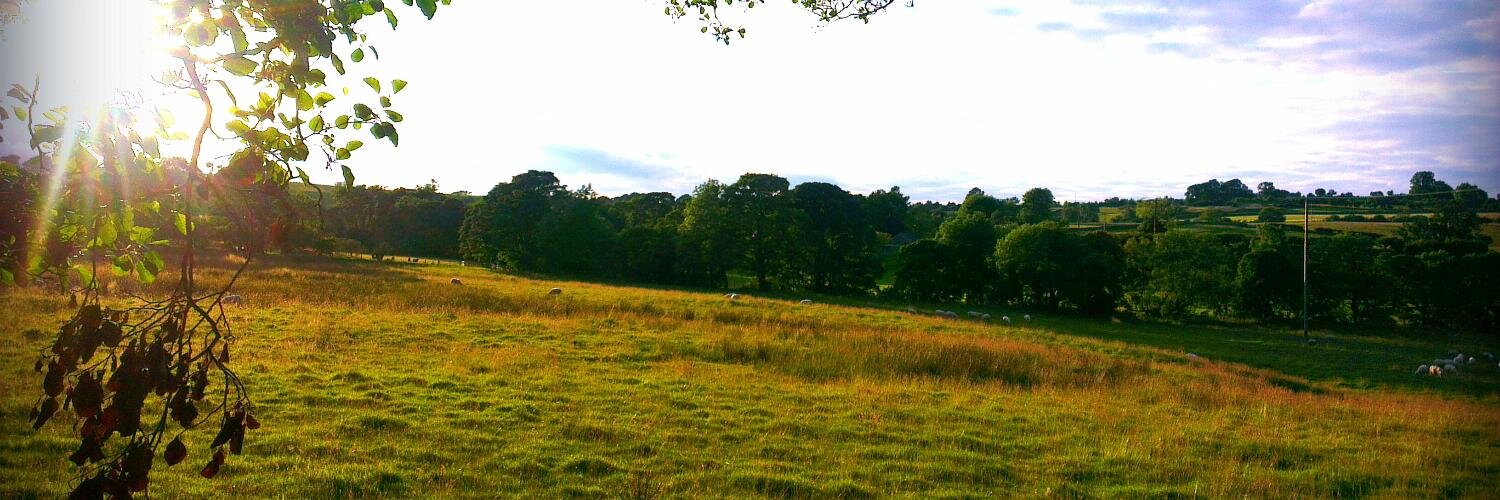 TWStills's profile banner image