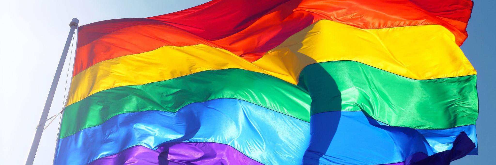 WLGBTF's profile banner image