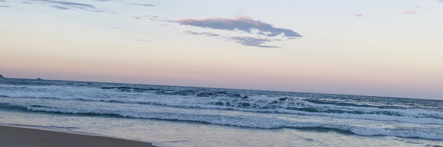 gimeludu's profile banner image