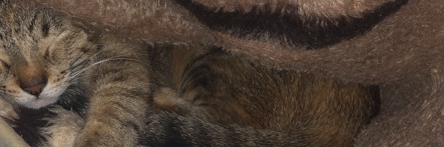 Malte 🇩🇪🕊️ banner