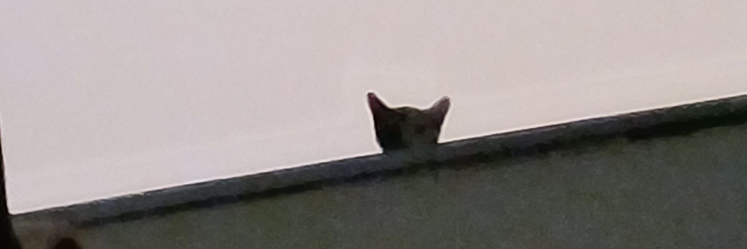 LeonardoFN20's profile banner image
