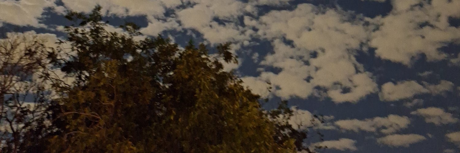Plussize_sftv's profile banner image