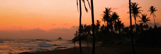 PauVetcher's profile banner image