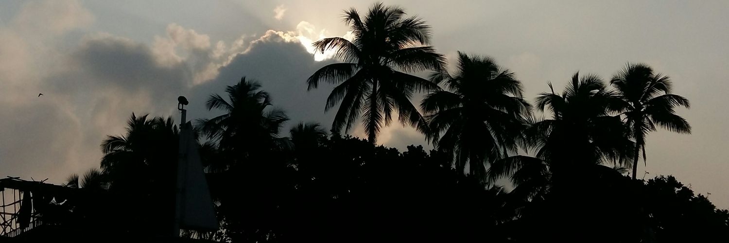 BushraBushr's profile banner image