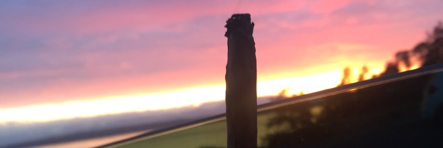 gottafinness's profile banner image