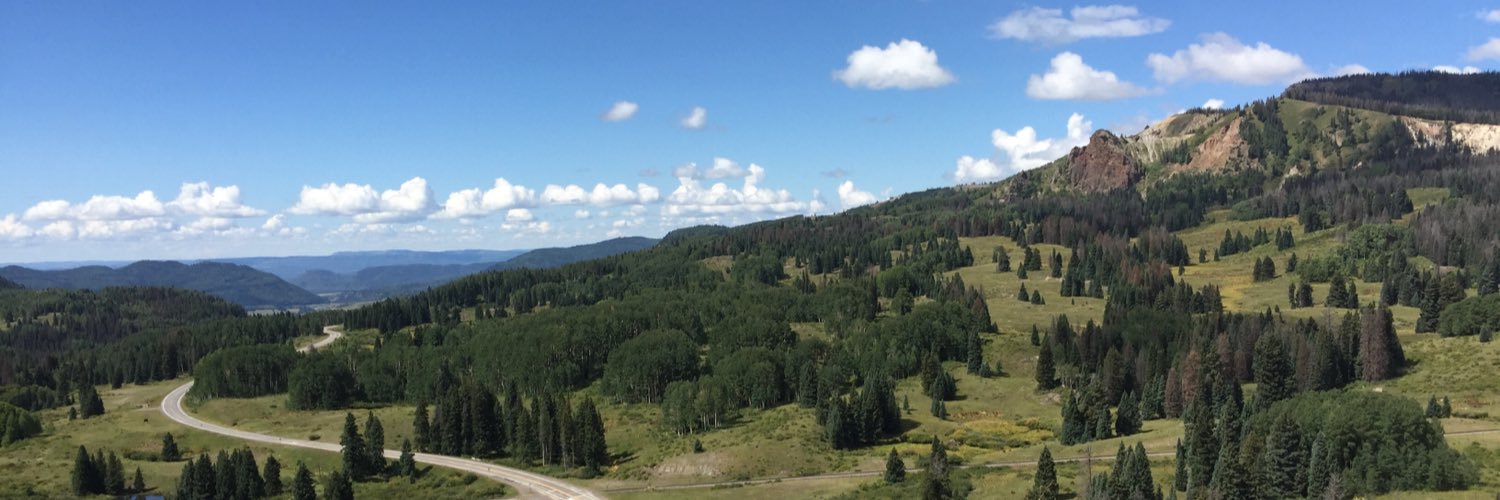 forks20's profile banner image