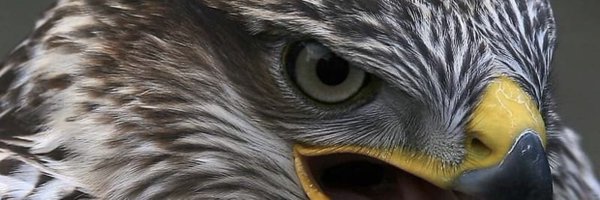 faksa2020 Profile Banner