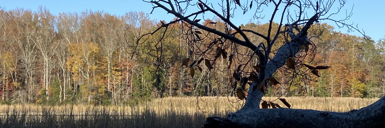 JFronck's profile banner image