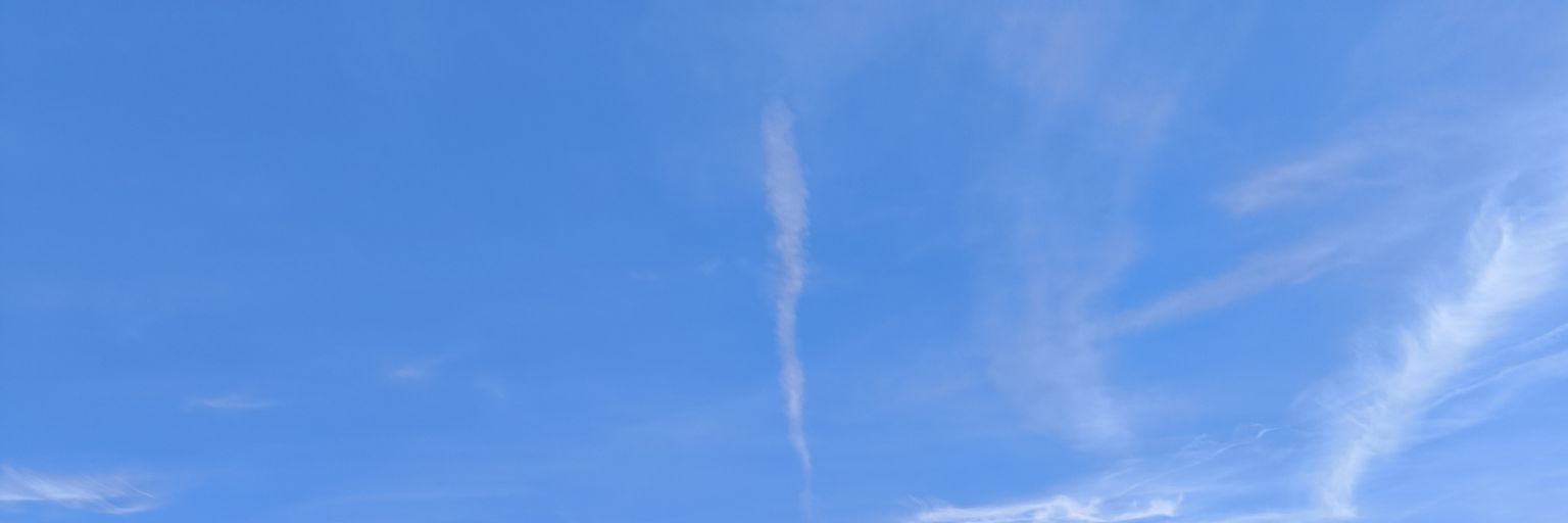 Letiiciavsl's profile banner image