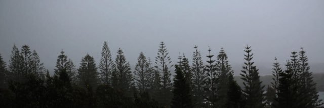 _Taay_R's profile banner image