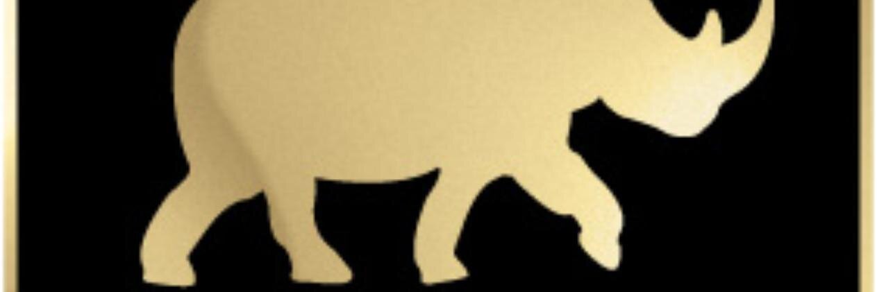 rinoxlegend97's profile banner image