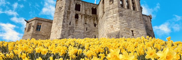 foxy_H_ Profile Banner