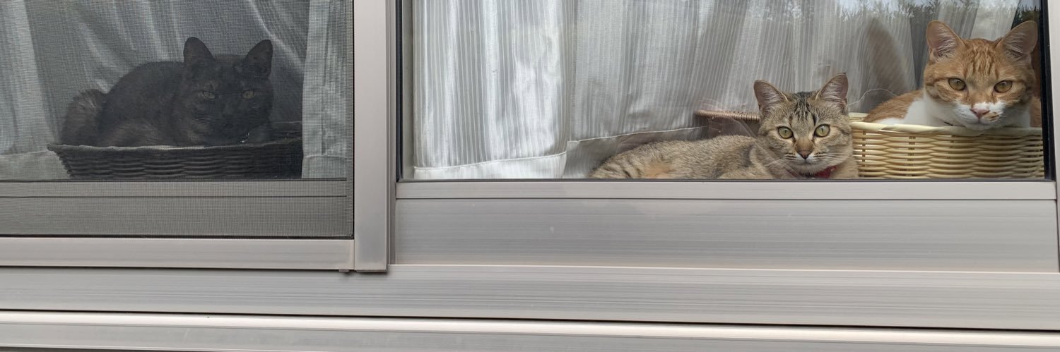 Orka46962's profile banner image