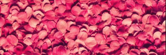 lynnnn23's profile banner image