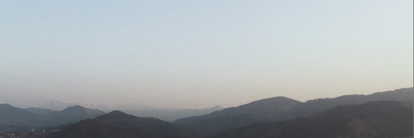 Ditte banner