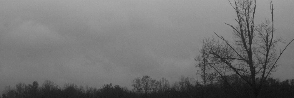 _AltruisticSoul's profile banner image