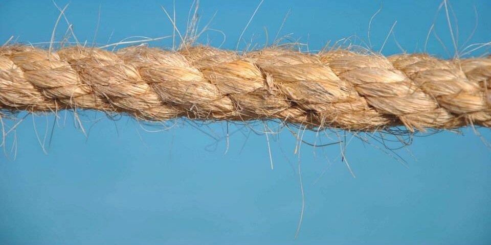 chiaramarsilli's profile banner image