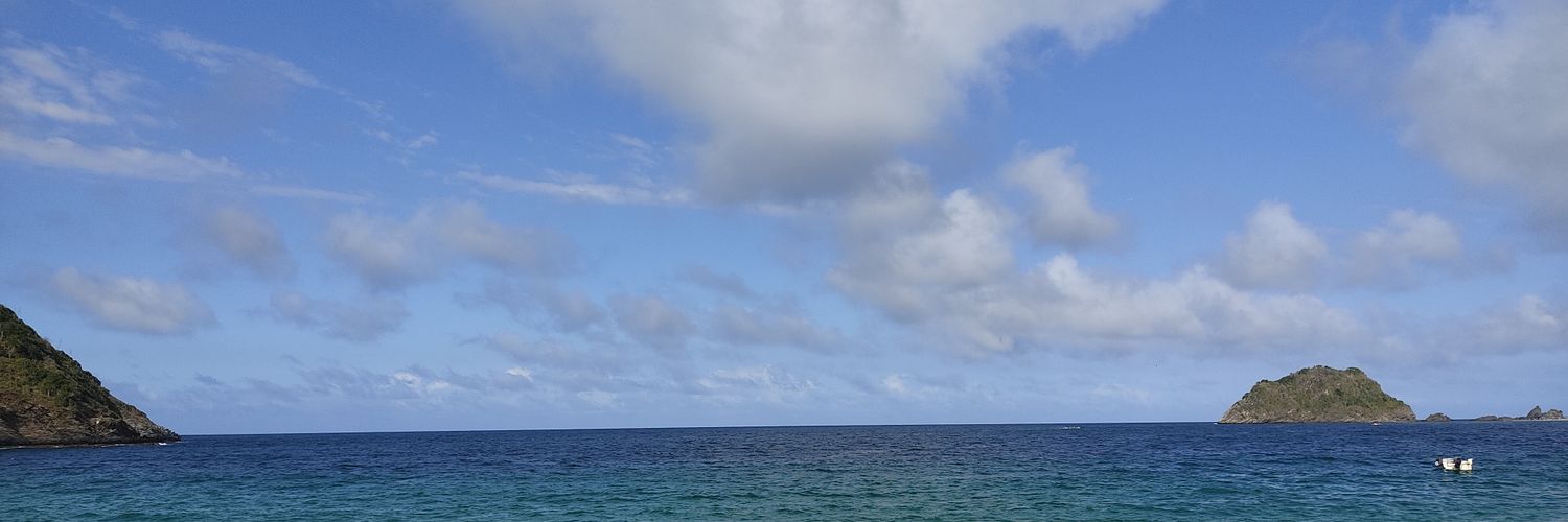 carlosc60's profile banner image