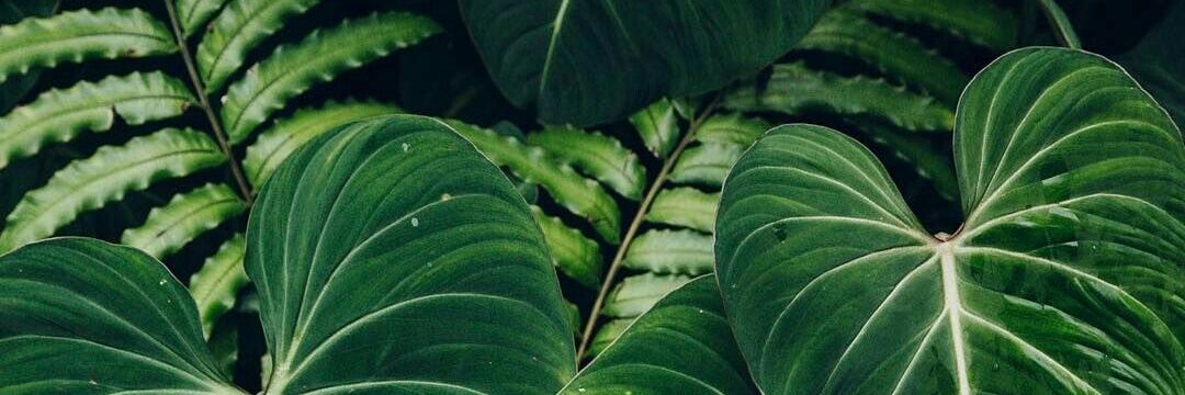 tugcekizz's profile banner image