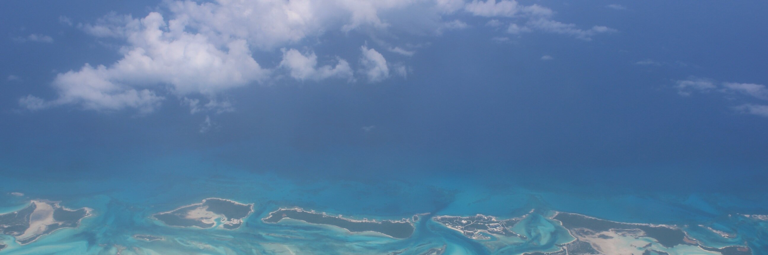 alyn williams banner