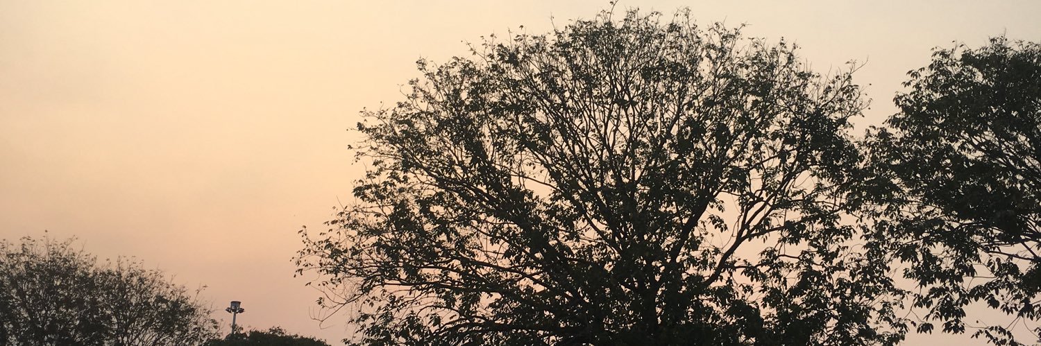 ririsput's profile banner image