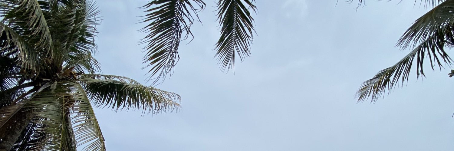 dibamoi's profile banner image