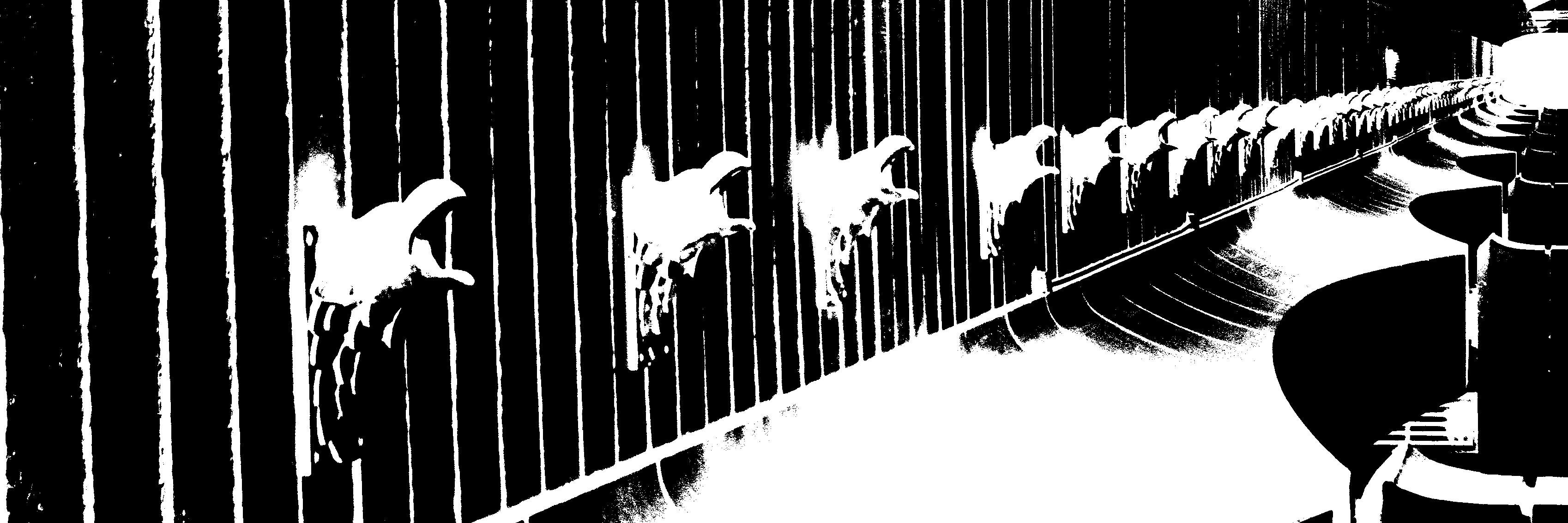 garianing's profile banner image