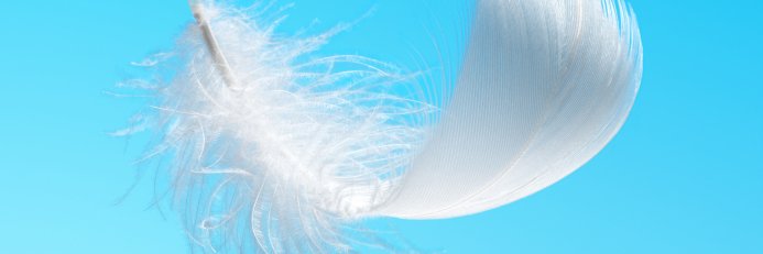 Deby Ould 〓〓 🇮🇪🇬🇧🩸 banner