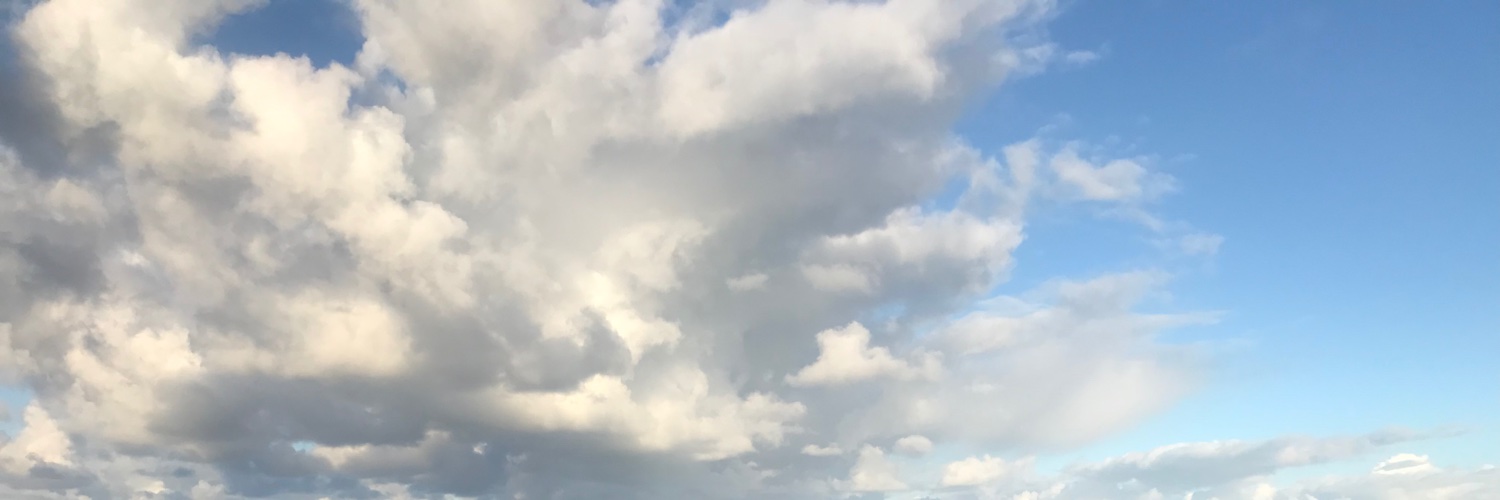 Bruno van Wayenburg banner