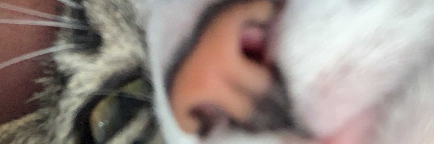 2L_guilli's profile banner image