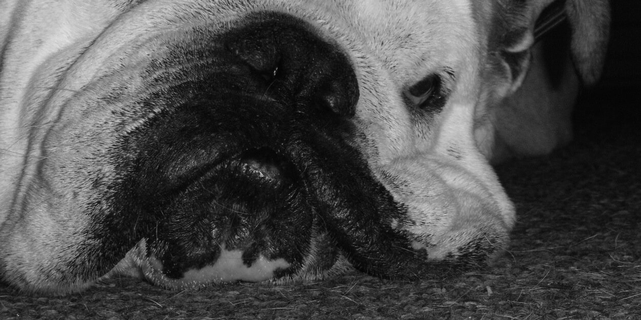 ChrisBochen's profile banner image