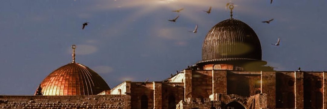 sgorukoglu's profile banner image