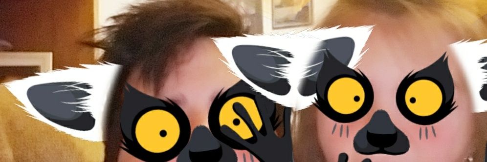 0neraddad🇺🇸 banner