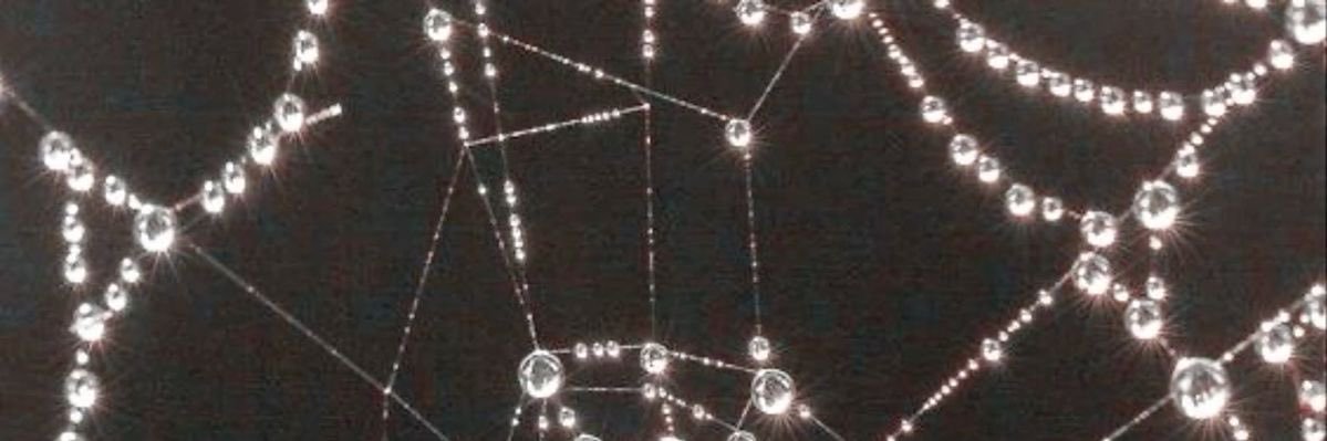 SKNUPS's profile banner image